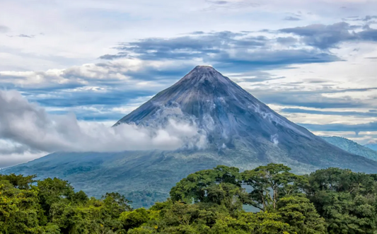 The Ultimate Sleep Retreat