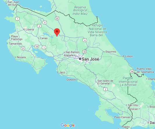 The Ultimate Sleep Retreat