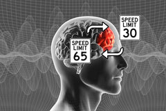 BrainSherpa app